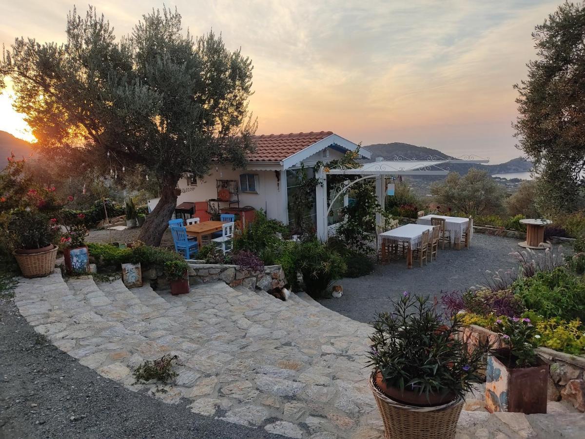 Hotel Mavi Kelebek Datça Esterno foto