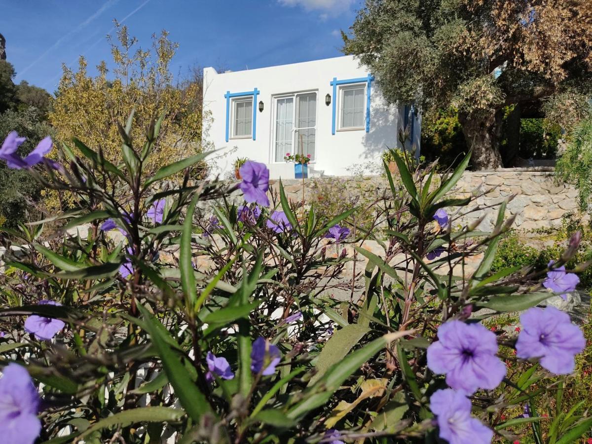 Hotel Mavi Kelebek Datça Esterno foto