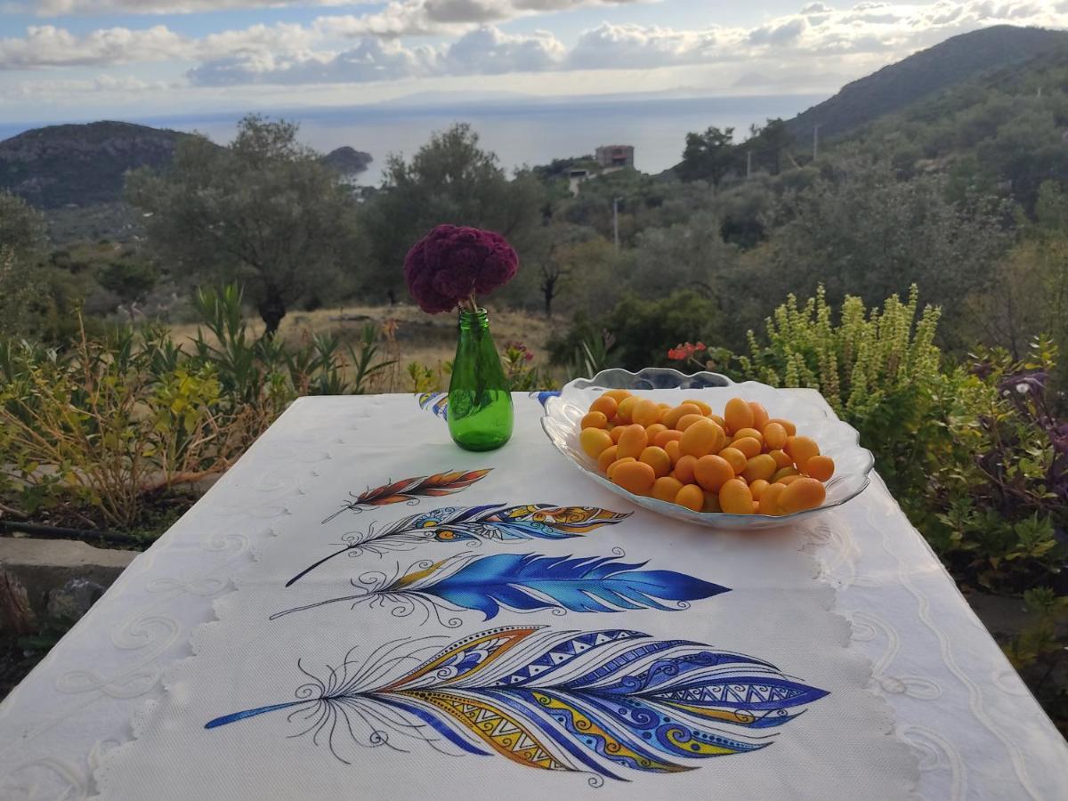 Hotel Mavi Kelebek Datça Esterno foto